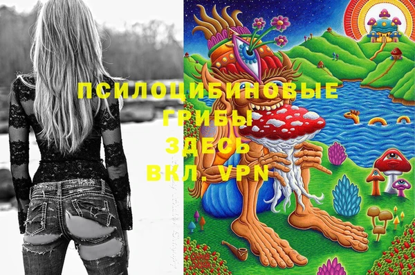 винт Кукмор
