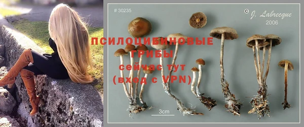 каннабис Кулебаки