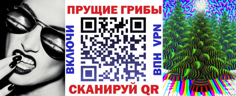 Купить закладки  Гаврилов Посад  Галлюциногенные грибы GOLDEN TEACHER 